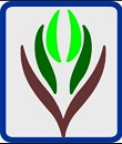                 ١٤٣٦ 