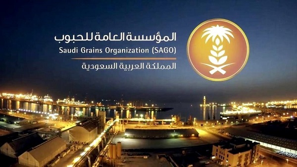 «الحبوب» تنتهي من ترسية الدفعة الثانية من القمح المستورد هذا العام