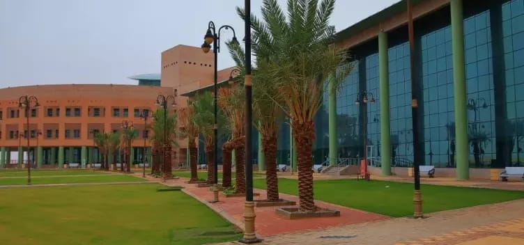 ������ �������� �������� ������ ������ ��������