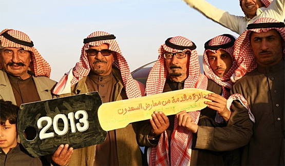 ( )        (  2013 ) 