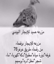   :         