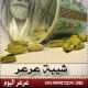 شيبة عرعر يطالب معالي مدير الجامعة مقابلته وجهاً لوجه ويخوض الانتخابات البلدية قبل أن تبدأ