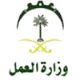 وزارة العمل تقرر تجديد إقامات الوافدين سنة واحدة وربطها بالتأمين الطبي